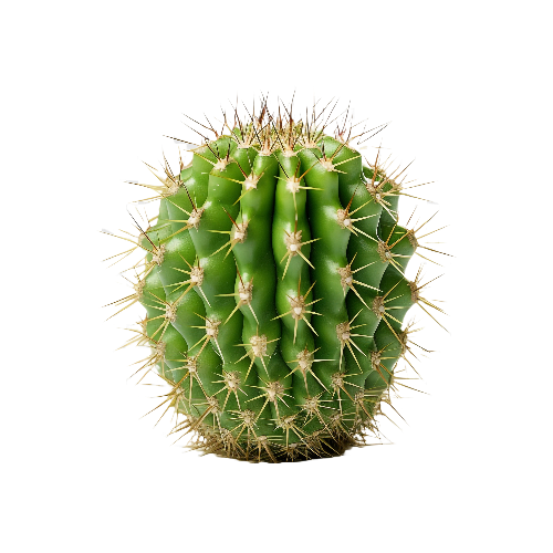 beautiful cactus AI generated picture