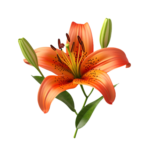 beautiful lily AI generated picture